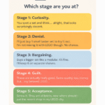 Brick Therapy: The 5 Stages of Non-LEGO Brick Collecting