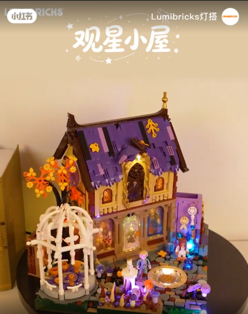 Lumibricks Chinese May Release